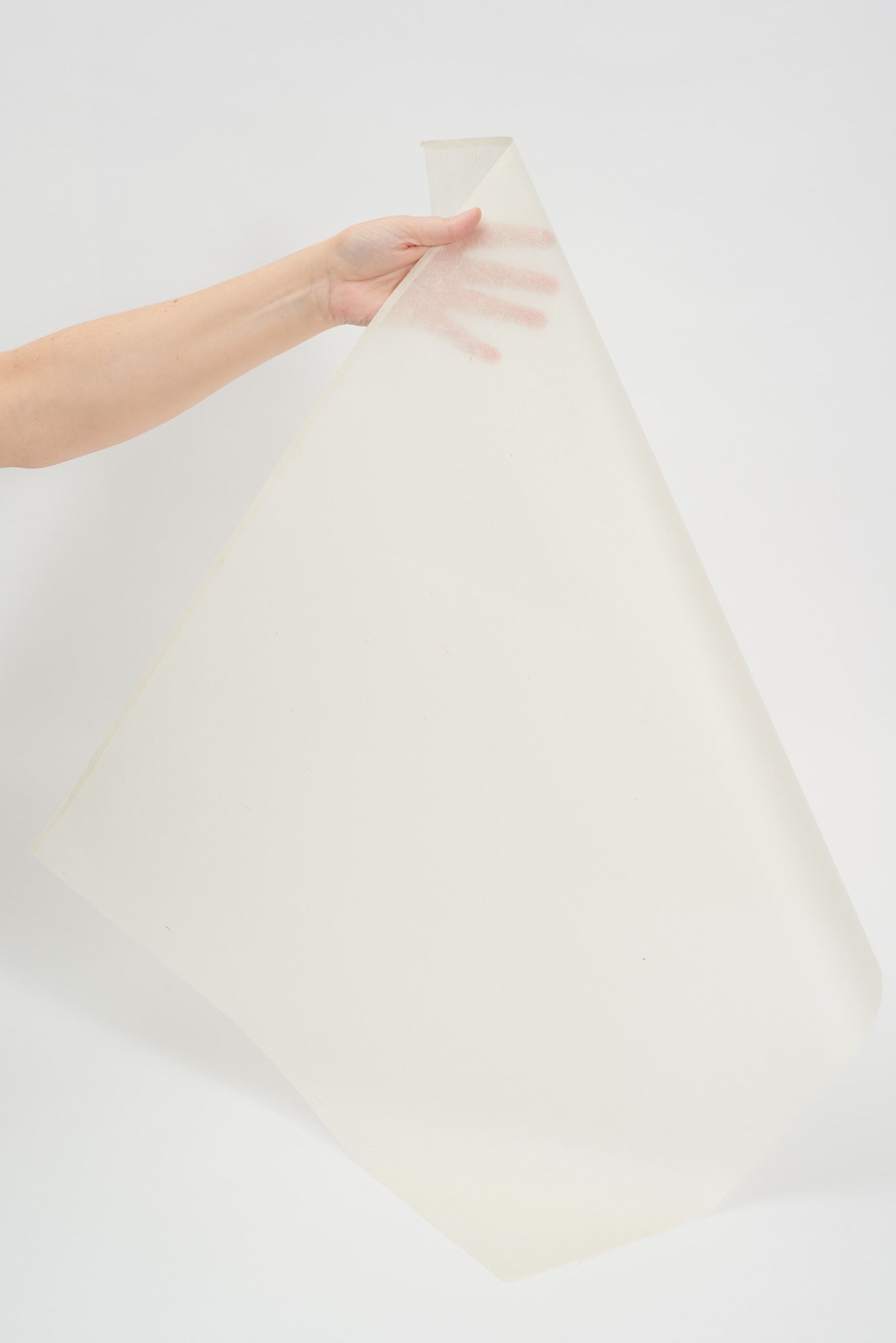 Sekishu Banshi Tsuru 25g/m2