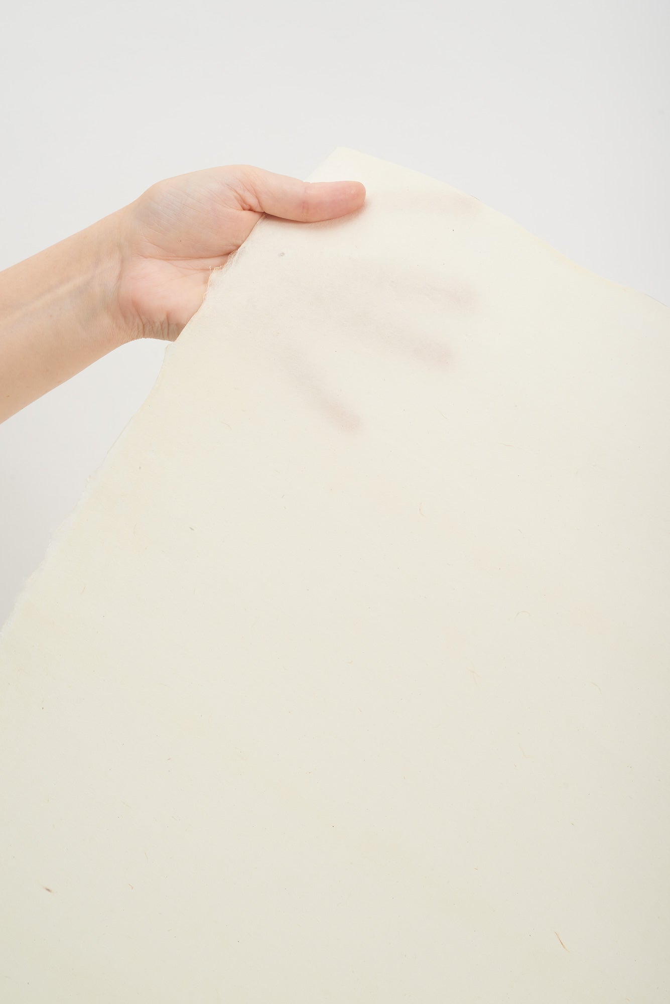 Seichosen Kozo Yotsuban 50g/m2