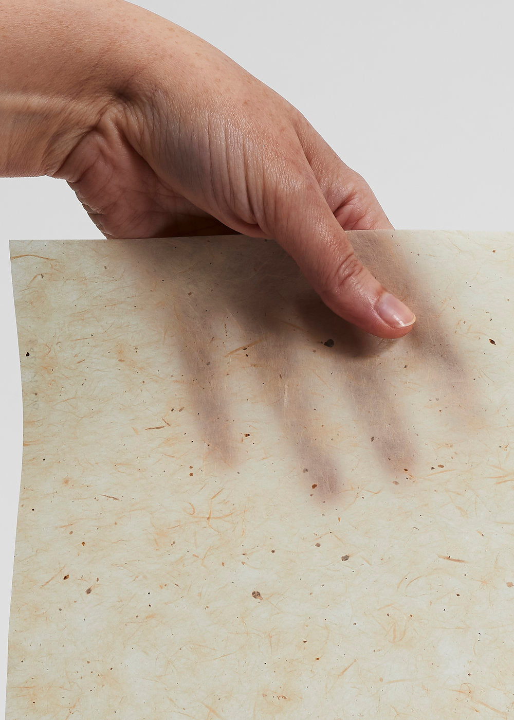 Gampi Smooth - Gampi glatt 32g/m2