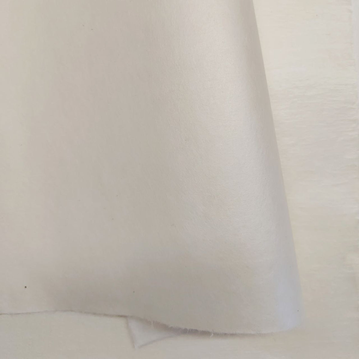 Bicchu Torinoko Gampi Natural - Undyed 17g/m2