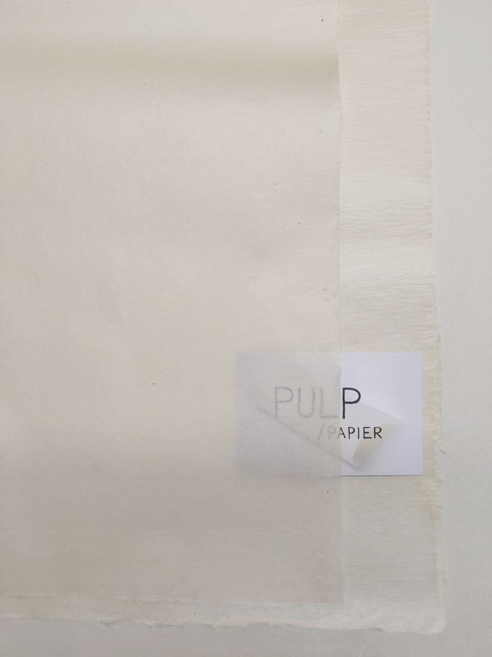 Bicchu Torinoko Gampi Natural - Undyed 17g/m2