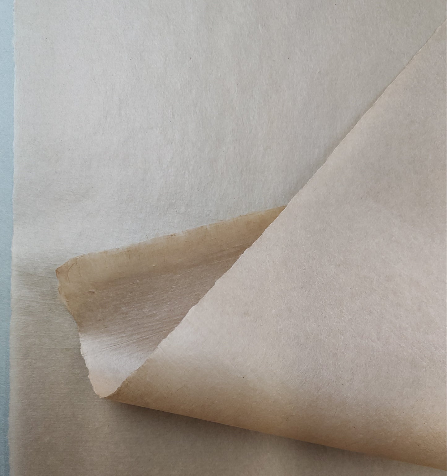 Bicchu Torinoko Gampi - Asenyaku Light 30g/m2