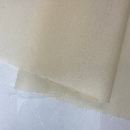 Oida Cream Student 30g/m2