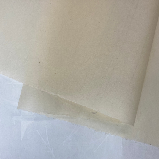 Oida Cream Student 30g/m2