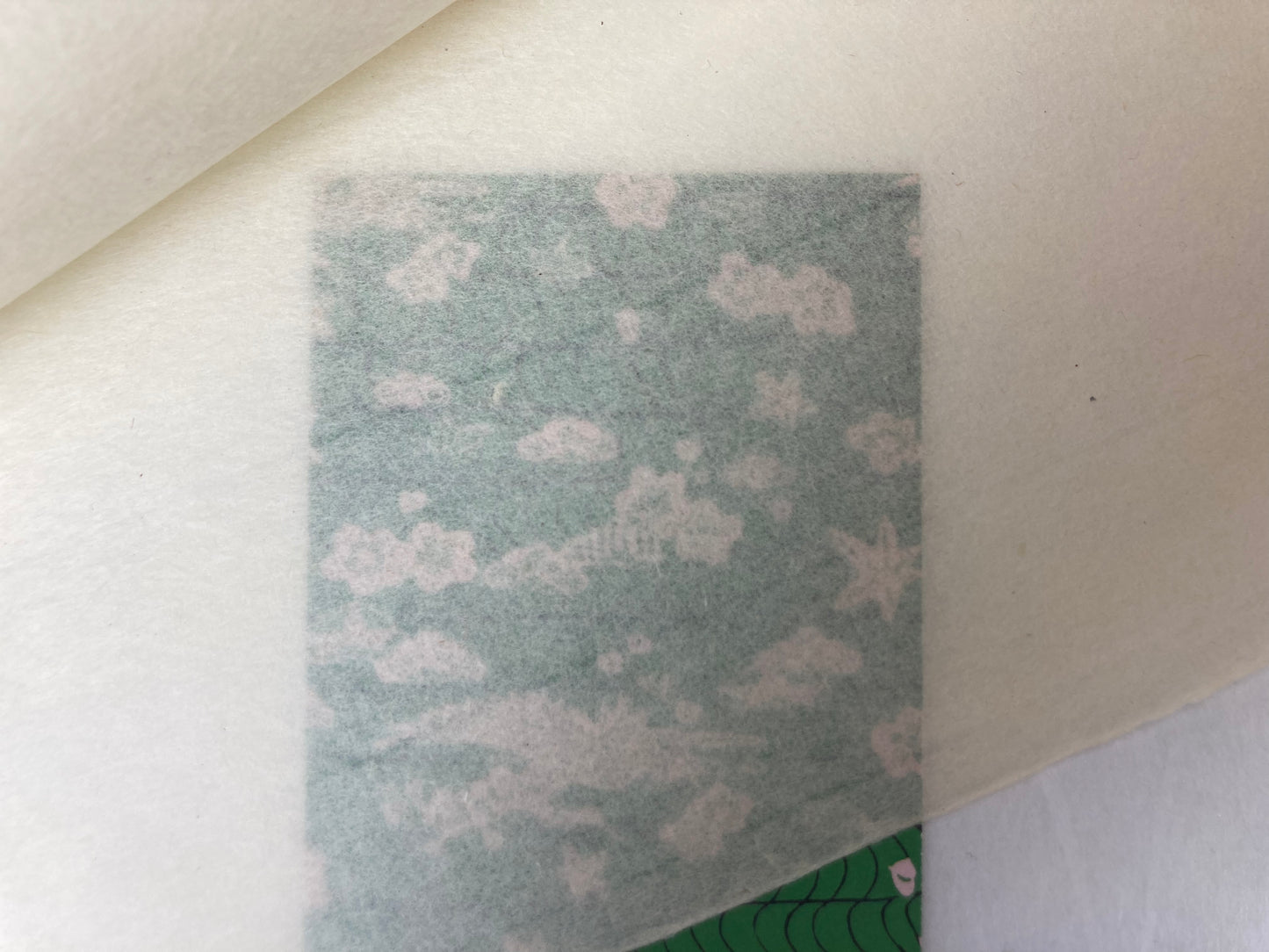 Oida Cream Student 30g/m2