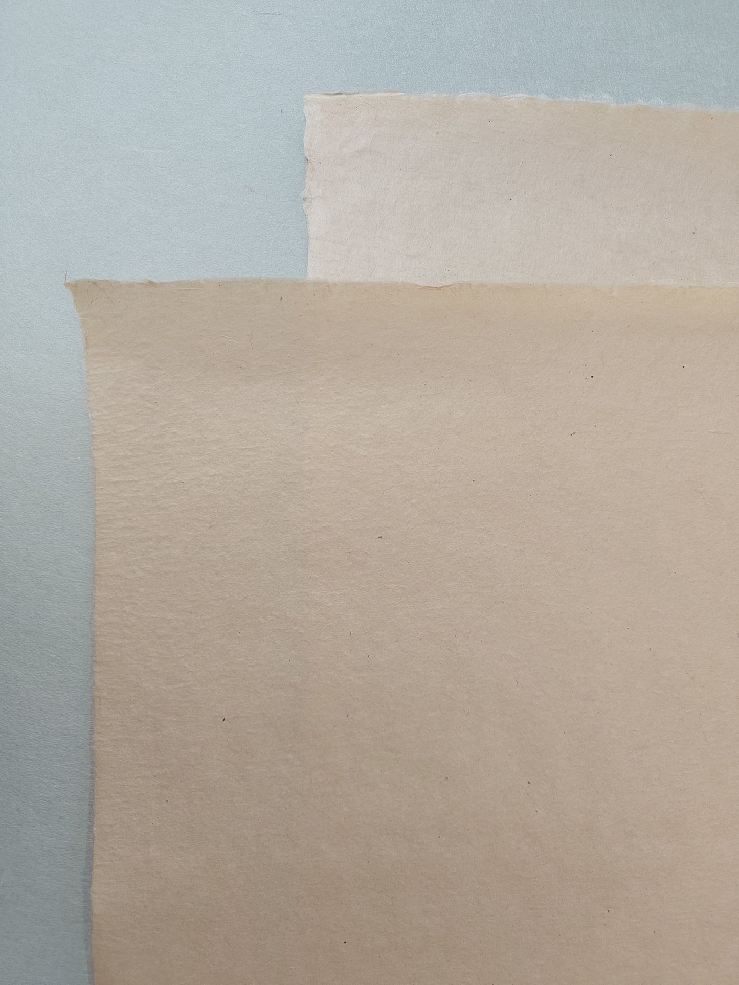 Bicchu Torinoko Gampi - Suo 30g/m2