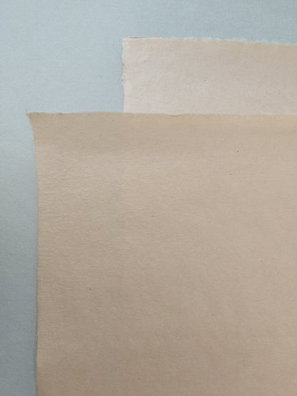 Bicchu Torinoko Gampi - Suo 30g/m2