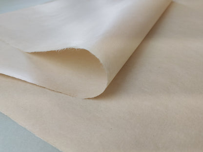 Bicchu Torinoko Gampi - Suo 30g/m2