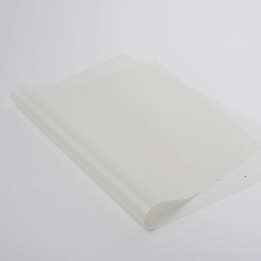 Gampi Silk Tissue - Seidenpapier 12g/m2